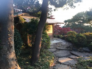 IMG_0099